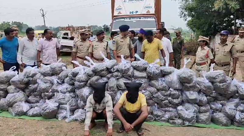Police seized 4.5 kg of marijuana in Narasaraopet and arrested a dealer identified as Tirupati. He was reportedly selling drugs to students and auto drivers.