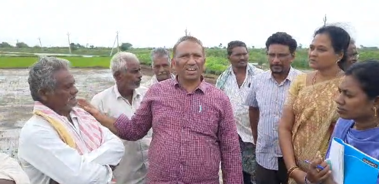 కాకుమాను మండలంలో వ్యవసాయాధికారి కే. కిరణ్మయి, శాస్త్రవేత్తలతో కలిసి వరి పంట ముంపు ప్రాంతాలను పరిశీలించారు. నీటి నిర్వహణ, ఫెర్టిలైజర్ సిఫార్సులు అందించారు.