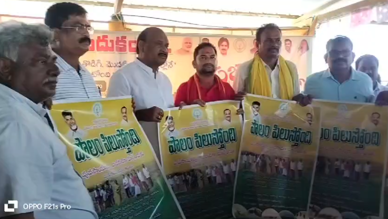 కొత్త ఎల్లవరంలో 100 రోజుల అభివృద్ధి కార్యక్రమంపై చింతకాయల అయ్యన్నపాత్రుడు చేసిన ప్రసంగం, నిధుల మంజూరుతో కూడిన సంక్షేమ కార్యక్రమాలను వివరించాడు.