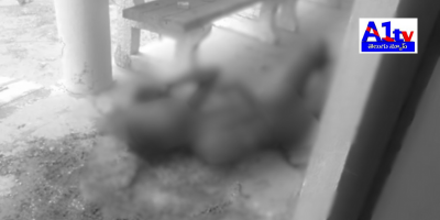 A youth was brutally murdered in the premises of a government hospital in Chinna Shankrampet, Medak district, prompting an investigation by local police.