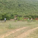 అక్కలరెడ్డిపల్లె లో ప్రభుత్వ భూమి పంపిణీ పై ఆందోళన Residents of Akkalareddipalle urge officials to distribute government land to landless SC families, as they face obstacles in accessing it.