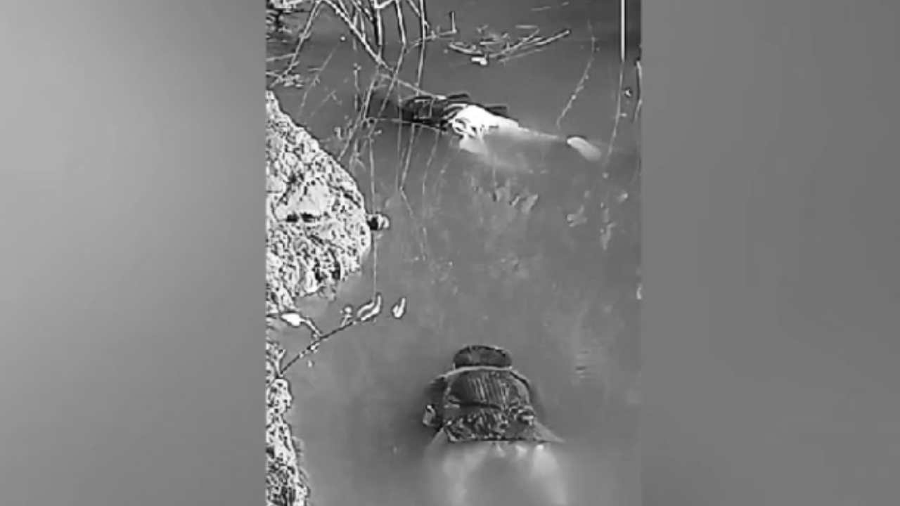 The Dasara festival in Nandivada village of Kamareddy district turned tragic as two children were found dead in a well, prompting an investigation by local police.