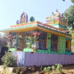 The first annual festival of Sri Sri Sri Ellamma Temple was celebrated in Birasadavalasa village with grandeur