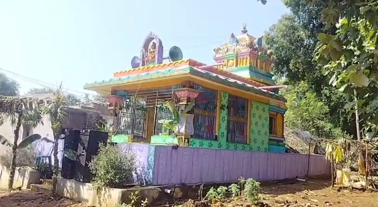 The first annual festival of Sri Sri Sri Ellamma Temple was celebrated in Birasadavalasa village with grandeur