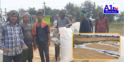 Farmers in Medak district express frustration over the lack of grain purchases at designated centers, forcing them to sell to middlemen at a loss.