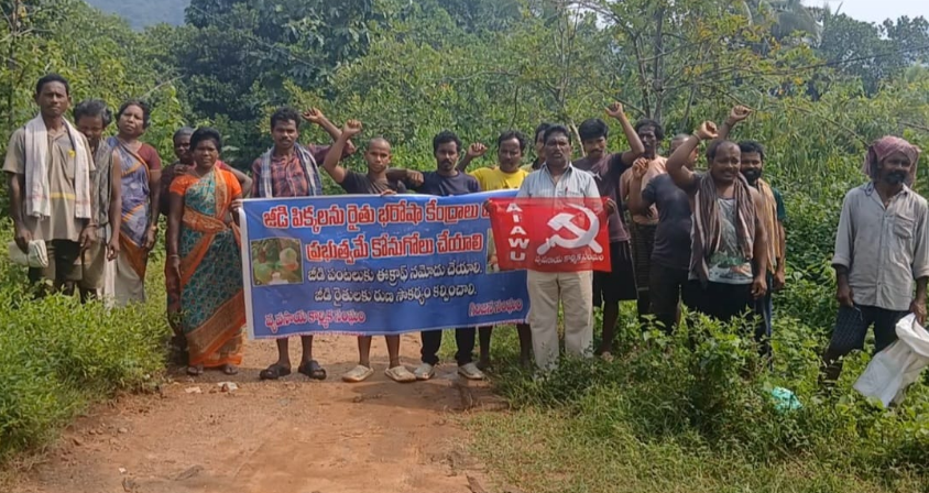 Farmers in Anakapalli district demand a support price for groundnuts, urging the government to purchase through RBKs and address their concerns amid rising production costs.