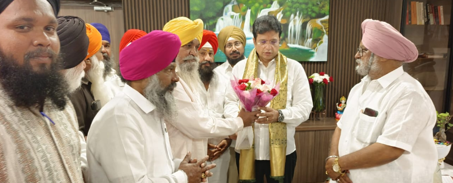 Residents of Maharaja Ranjit Singh Nagar urge the government to address urgent infrastructure issues, including power poles and street lighting.