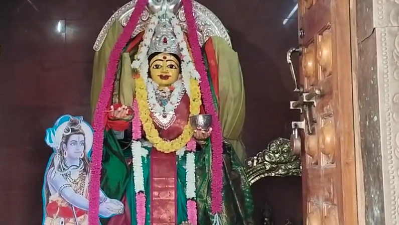 Sharannavaratri celebrations at the Nerelellamma temple in Gopalapatnam, Thuni constituency, featuring daily rituals and diverse manifestations of the goddess.