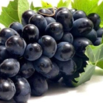 Black grape juice offers numerous health benefits, including improved heart health, cancer prevention, skin enhancement, and diabetes control.
