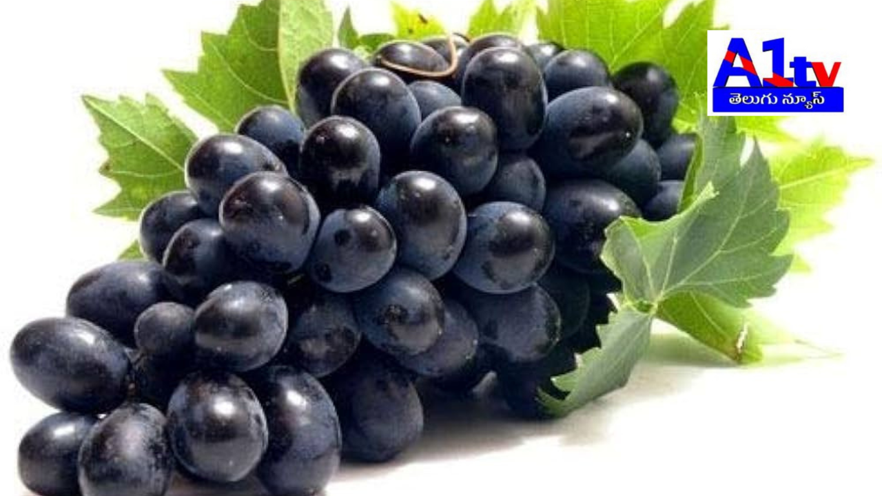 Black grape juice offers numerous health benefits, including improved heart health, cancer prevention, skin enhancement, and diabetes control.