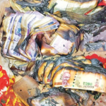 A farmer's home caught fire during Diwali, destroying cash and valuables worth ₹6 lakhs. The family, devastated by the loss, seeks assistance from authorities.