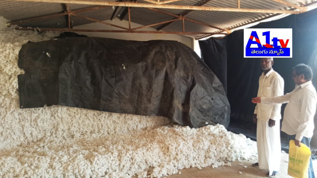 Budithi Appalanayudu demands immediate government action to support cotton farmers in Bhamini Mandal. He requests a procurement center to avoid exploitation by middlemen.