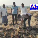 రైతులకు పంట అవశేషాలపై రాజ్ నారాయణ సూచనలు Mandal Agricultural Officer Raj Narayana advises farmers to avoid burning crop residues, emphasizing the environmental and soil health benefits. He highlights the importance of maintaining soil fertility for better crop yield.