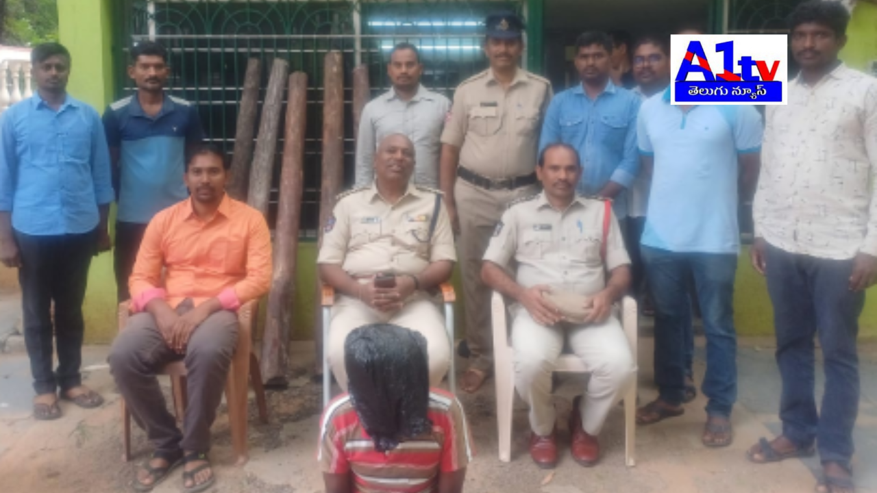 Task Force police seized five red sandalwood logs at Pincha Dam and arrested a person in Rajampet Section of Annamayya district.