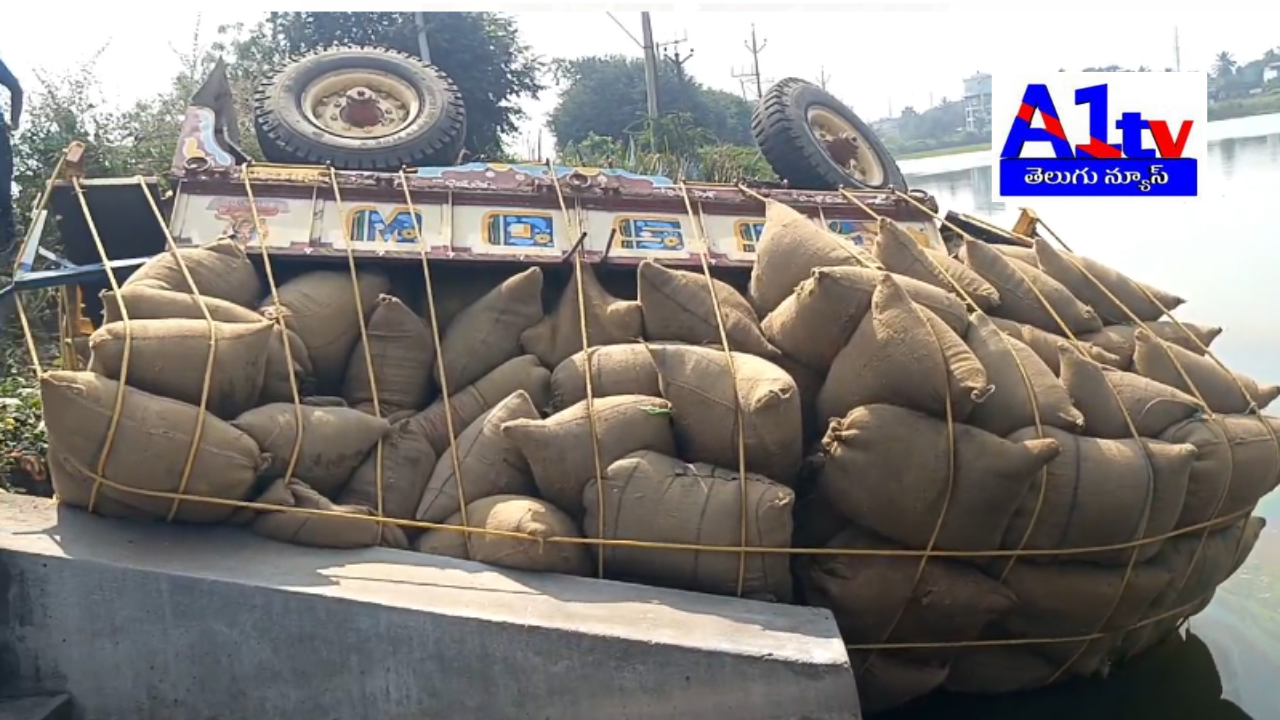 A tractor carrying paddy from Rajupalem village lost control and fell into a pond on the Prathipadu national highway. The driver, Rosayya, from Rajupalem, was unharmed, and local residents promptly responded to the incident.