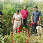 Police in Nirmal district arrest individuals cultivating ganja among crops. SP Janaki Sharmila urges public cooperation to eradicate drug menace.