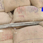 Revenue officials seized 600 sacks of ration rice worth ₹15 lakh illegally transported from Mydukur to Nellore, arresting the truck driver.