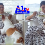 Samantha's recent Instagram post with her pet dog Sasha and her caption has gone viral, sparking discussions among fans and industry insiders.