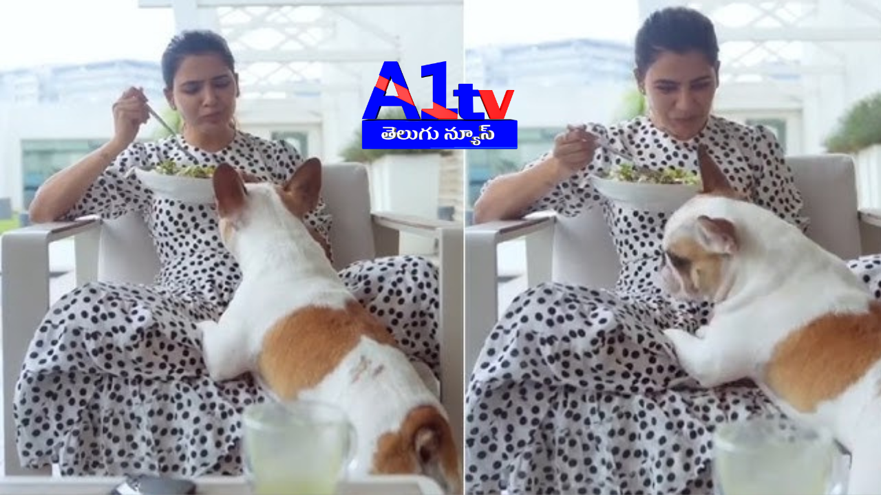 Samantha's recent Instagram post with her pet dog Sasha and her caption has gone viral, sparking discussions among fans and industry insiders.