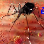 Zika virus has been detected in an 8-year-old boy in Nellore district. A medical team will visit the village for further investigation and treatment.