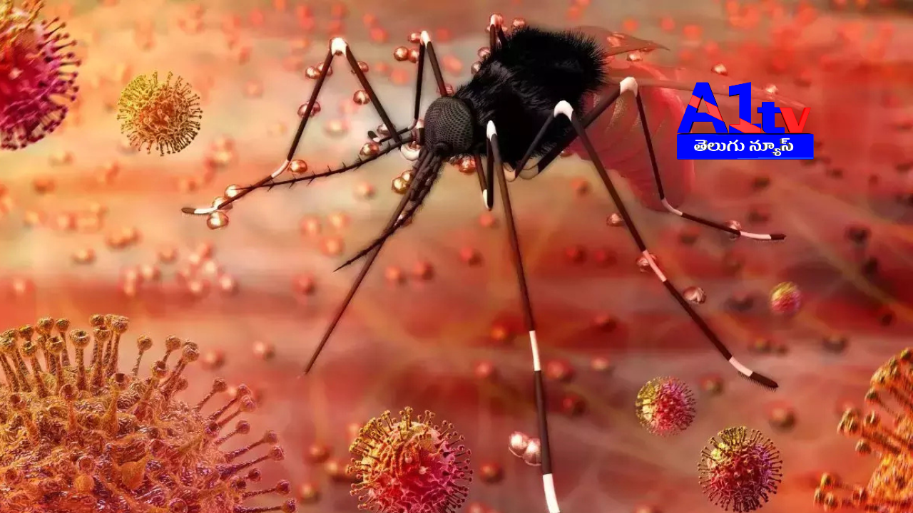 Zika virus has been detected in an 8-year-old boy in Nellore district. A medical team will visit the village for further investigation and treatment.