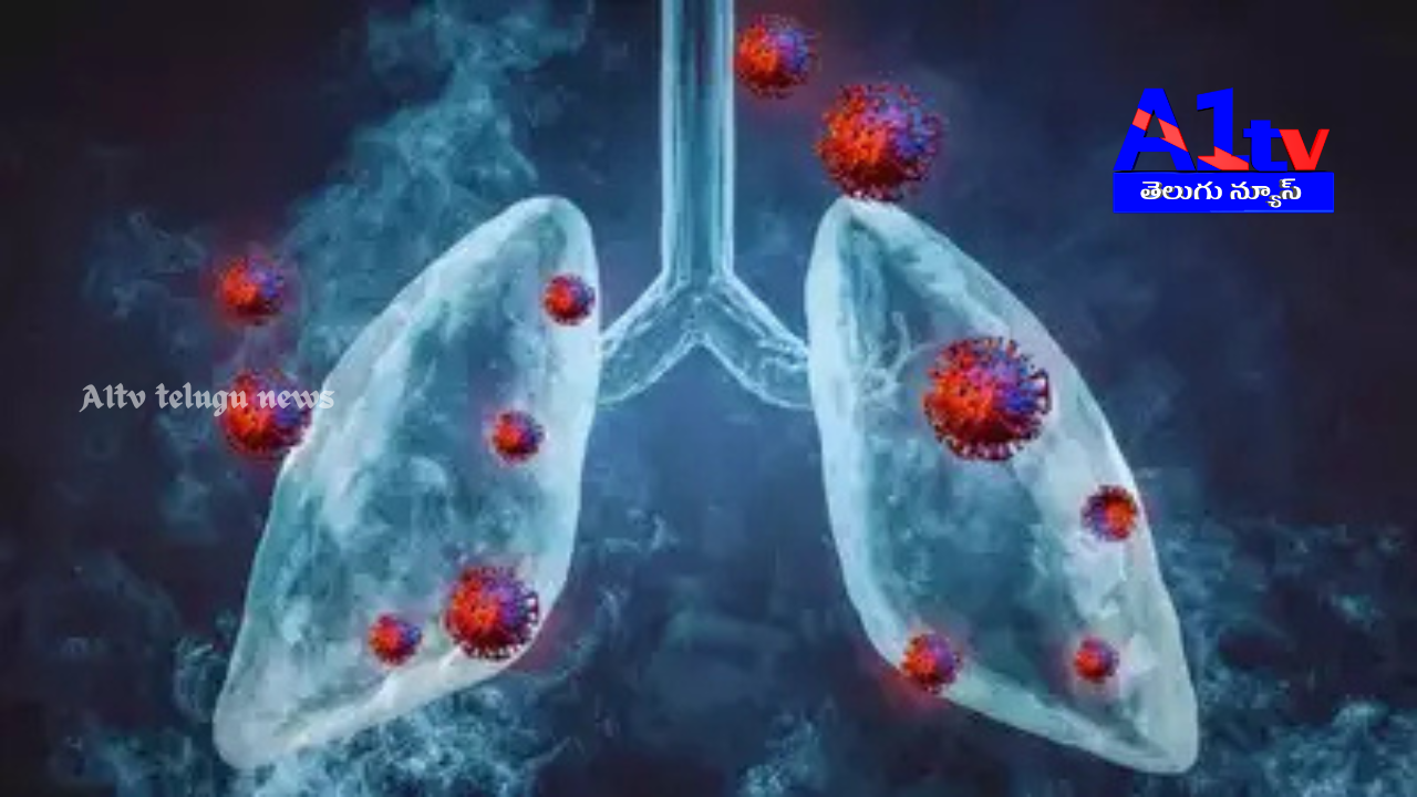 China dismissed reports of overcrowding in hospitals due to the HMPV virus, assuring that respiratory illnesses are under control and foreign visitors are safe.