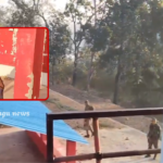 The Cobra Battalion has taken control of a high-tech Maoist training camp located in the forests of Bhattiguda on the Telangana-Chhattisgarh border, destroying it.