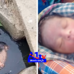 A newborn was found abandoned in a drain in Kolanukonda, Tadepalli. Police investigate the incident to gather details about the infant and the mother.
