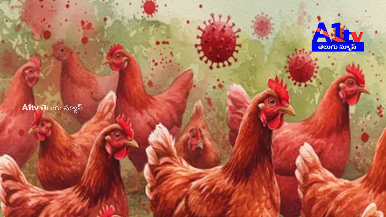 v A person in Eluru district has tested positive for bird flu. Officials report a high spread in Godavari and Krishna districts, raising concerns.
