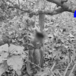 Married woman Rajani found hanging in Gummalaxmipuram orchard. Police investigate whether it is murder or suicide.