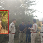 కొత్తూరు మండలంలో ఏనుగుల సంచారం – MLA అప్రమత్తం MLA Mamidi Govindarao alerted officials as four elephants roamed in Kotturu Mandal.