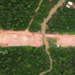 Brazil is destroying the Amazon forests for the environmental summit, drawing criticism worldwide for the contradiction of promoting greenery while damaging it.