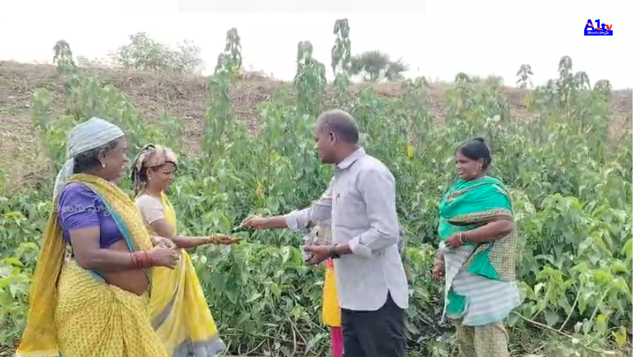 The 134th birth anniversary of Ambedkar was celebrated at Rajula Cheruvu in Vijayawada district. The significance of Ambedkar's contributions was explained to the public.