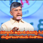 పహల్గామ్ ఉగ్రదాడి ఘటనపై సీఎం చంద్రబాబునాయుడు సంతాపం CM Chandrababu Naidu expresses deep condolences to the families of Telugu victims killed in Pahalgam terror attack and condemns terrorism.