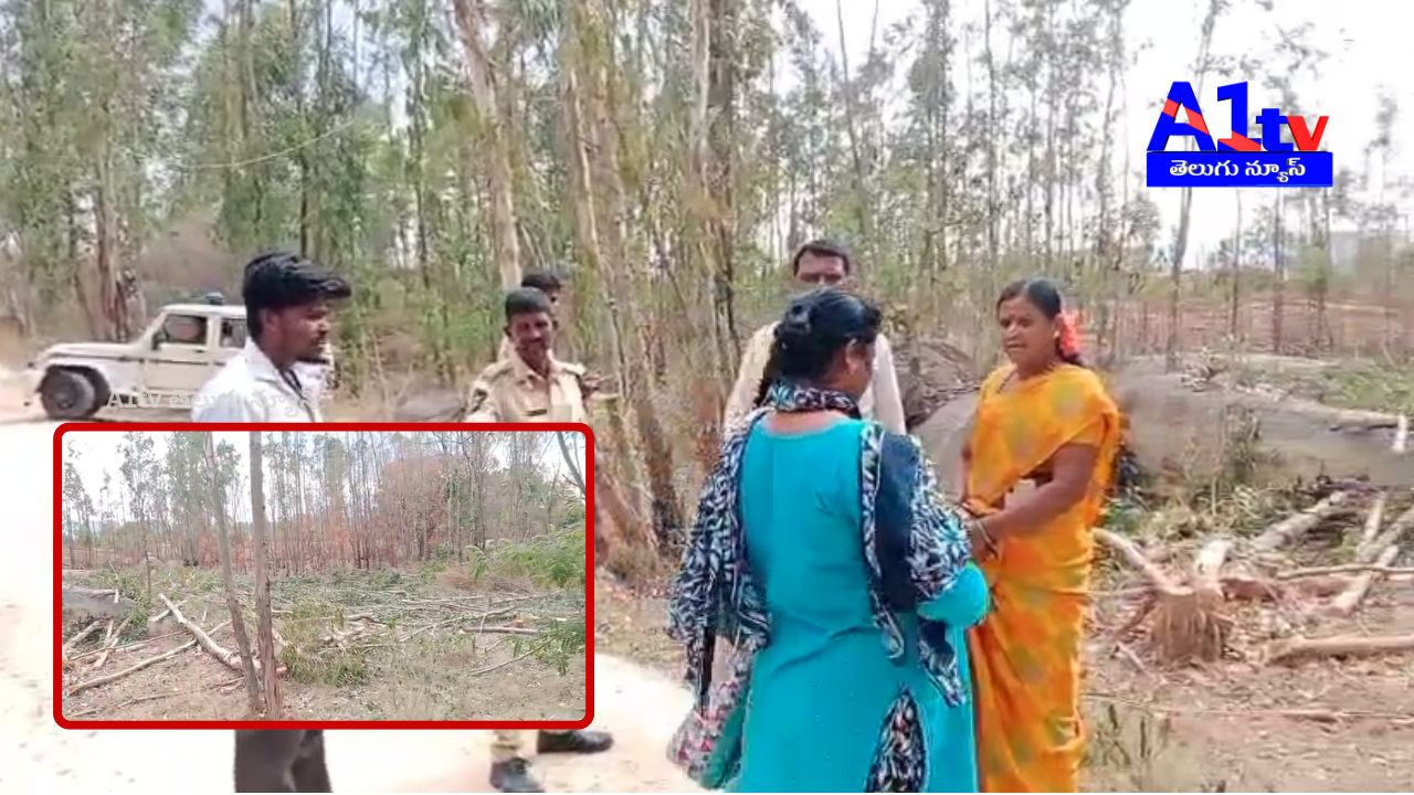 A farmer filed a complaint after sandalwood trees were illegally cut from his land in Shanthipuram by a group of people.