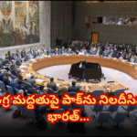 ఐరాస వేదికగా పాక్ను బలంగా ఎదుర్కొన్న భారత్ India hit back hard at Pakistan in the UN, highlighting their minister’s own admission of supporting and training terror groups.