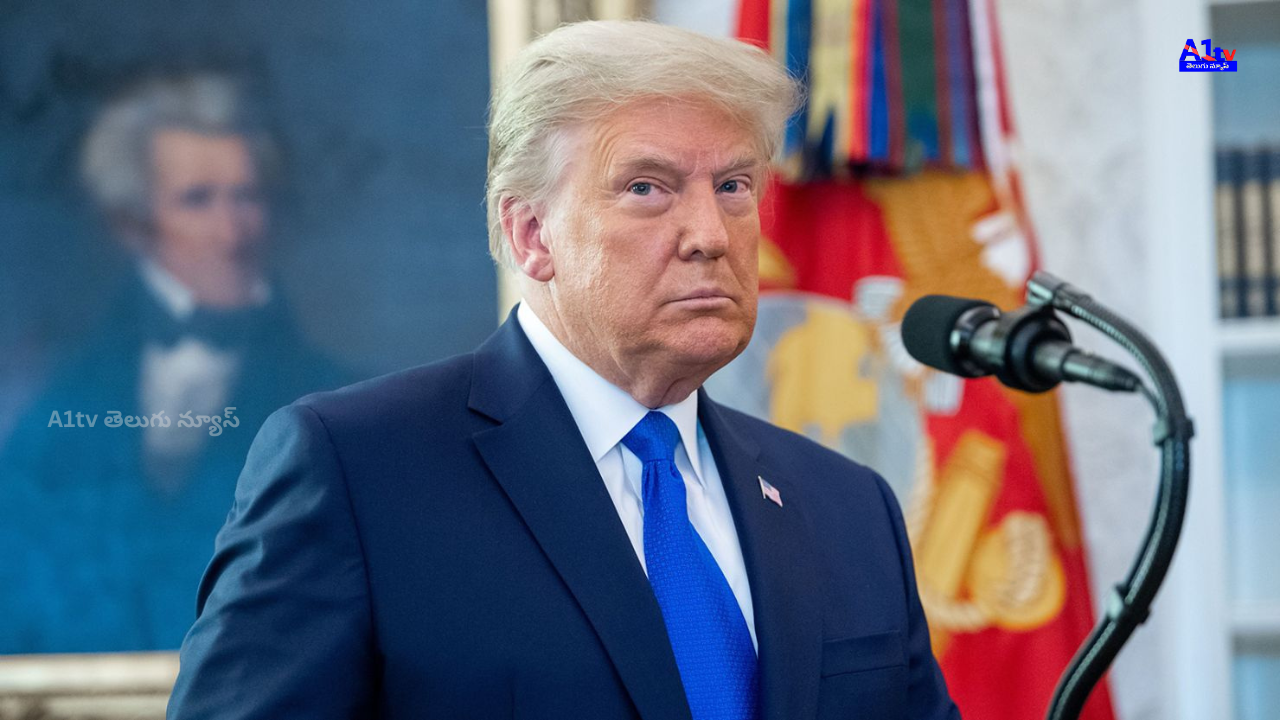 17-year-old Nikita Kasap accused of murdering parents to fund a plot to kill Trump and overthrow the government. Extensive right-wing extremism links.