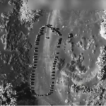 Trump released drone footage of US strikes on Houthis. Over 50 killed; tensions escalate between Iran and the US over Houthi conflict.