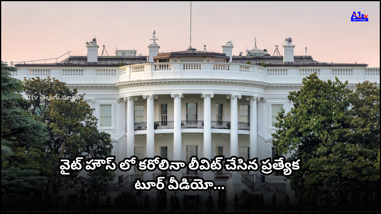 Carolina Levitt gave an inside tour of the White House, showcasing her room, colleagues, and furniture in a viral video. The tour gives a rare glimpse of the interiors.