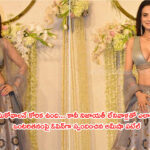 “పెళ్లి చేసుకోవాలనే కోరిక ఉంది… కానీ నిజాయతీ లేనివాళ్లతో ఎలా?” – తన ఒంటరితనంపై ఓపెన్గా స్పందించిన అమీషా పటేల్