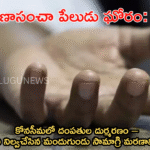 బాణాసంచా పేలుడు ఘోరం: కోనసీమలో దంపతుల దుర్మరణం – గతేడాది నిల్వచేసిన మందుగుండు సామాగ్రి మరణానికి దారి