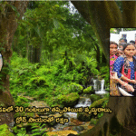 పల్నాడు అడవిలో 30 గంటలుగా తప్పిపోయిన వృద్ధురాలు, డ్రోన్ సాయంతో రక్షణ