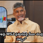 “విశాఖపై WSJ ప్రశంసలపై సీఎం చంద్రబాబు హర్షం”