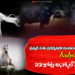 పుష్కర్ పశు ప్రదర్శనలో సంచలనం – ₹15 కోట్ల షాబాజ్ గుర్రం, ₹23 కోట్ల అన్మోల్ గేదె ఆకర్షణ