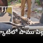 కరీంనగర్ హుజురాబాద్‌లో స్కూటీ నుంచి బయటపడ్డ పాము పిల్ల దృశ్యం