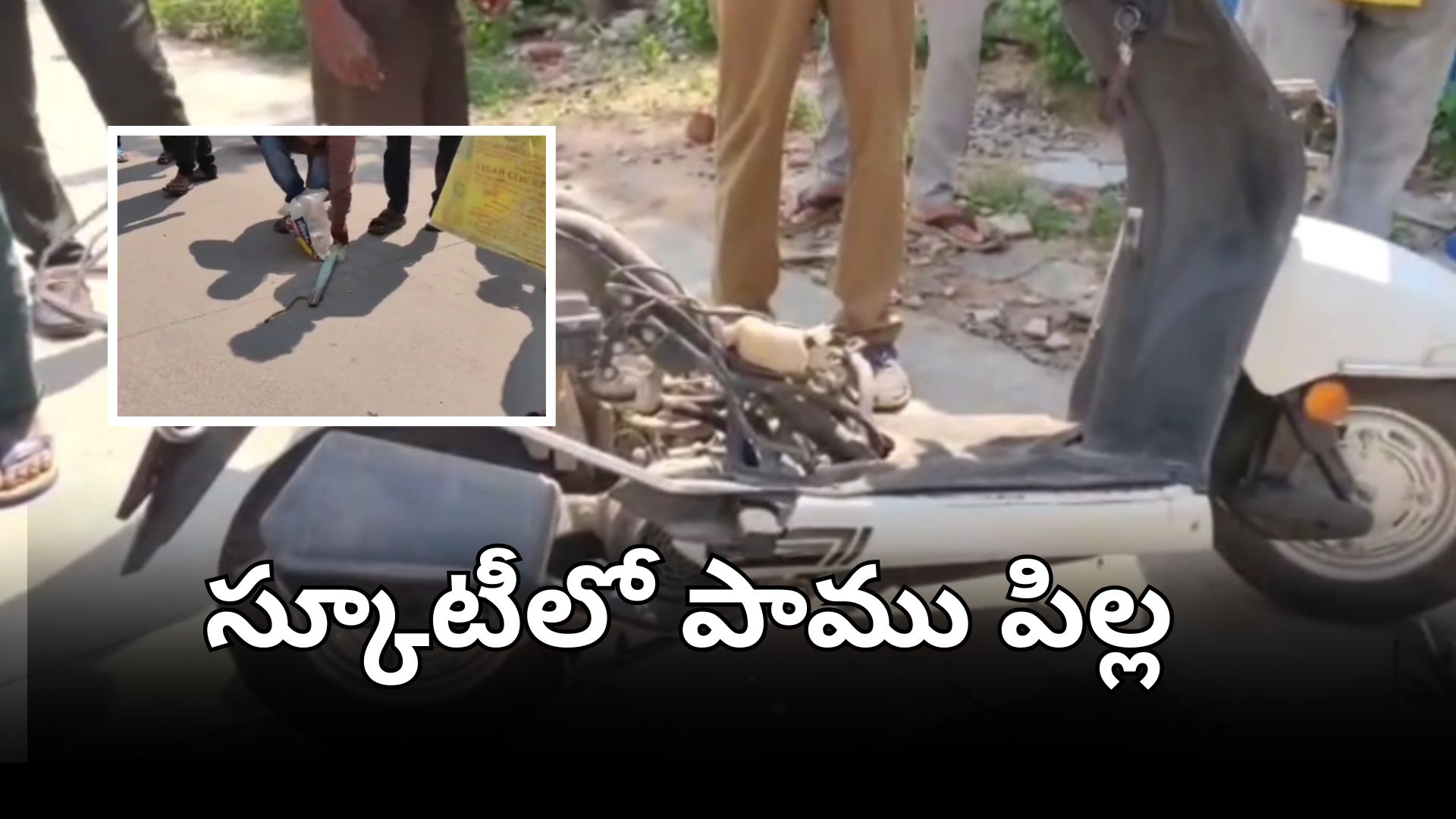 కరీంనగర్ హుజురాబాద్‌లో స్కూటీ నుంచి బయటపడ్డ పాము పిల్ల దృశ్యం