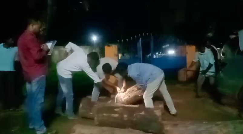 కడెం మండలంలో అక్రమంగా తరలిస్తున్న 10 టేకు కలప దుంగలను అటవీ అధికారులు పట్టుకున్నారు. స్మగ్లర్లు పారిపోయారు, వనరుల సంరక్షణపై నిఘా పెరగాలి.