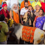 అఖిల భారతీయ గో ఫౌండేషన్ ఆధ్వర్యంలో జరిగిన గో భక్తుల ఆత్మీయ సమ్మేళనంలో, గో రక్షణ, భూ రక్షణ, పర్యావరణ రక్షణపై చైతన్యం తీసుకురావాలనే సంకల్పంతో బాలకృష్ణ గురుస్వామి 14 రాష్ట్రాల్లో పాదయాత్ర చేపట్టారు.