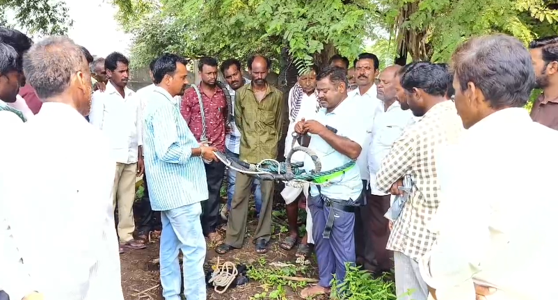 చెన్నూర్ పట్టణంలో కల్లు గీత కార్మికులకు సురక్షితంగా తాటి చెట్లు ఎక్కే శిక్షణ కార్యక్రమం నిర్వహించారు.