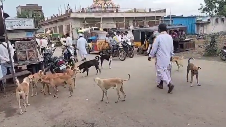 తానూర్ మండల కేంద్రంలో కుక్కల దాడిలో నలుగురు పిల్లలు గాయపడ్డారు. గ్రామంలో కుక్కల సమస్య పట్ల స్థానికులు ఆవేదన వ్యక్తం చేస్తూ, అధికారులు త్వరిత చర్యలు తీసుకోవాలని కోరుతున్నారు